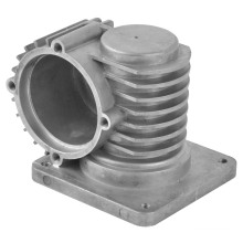 Gear Casing/ Aluminum Die Casting